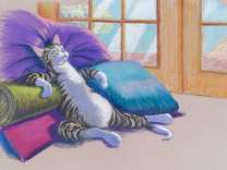 Уставший кот на подушках