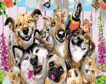 Зверинец в ожидании вкусненького