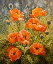 Цветущий куст маков