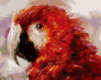 Красный попугай Карудо