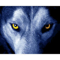 Желтые глаза волка