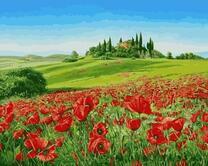 Поляна красных маков