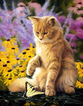 Картина по номерам Номерашка (Paintboy) «Рыжий котик играет с желтой бабочкой»