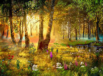 Рассвет на лесной полянке