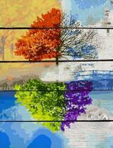 Дерево отражает все времена года