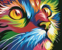 Котик в разных красках