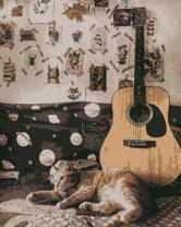 Большой кот и гитара