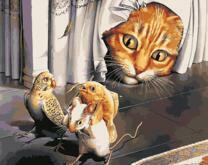 Кот следит за рыбкой, мышкой и попугаем