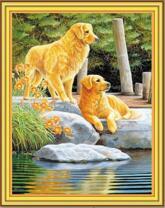 Лабрадоры возле озера