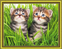 Малюсенькие котята среди травы