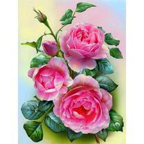 Куст с тремя розами и закрытыми бутонами