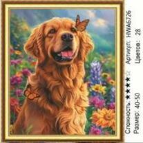 Алмазная вышивка «HWA6726»