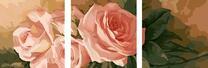 Три нежно-розовые розы