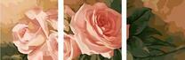 Нежно-розовые розы