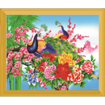 Павлины в цветах роз и сакуры