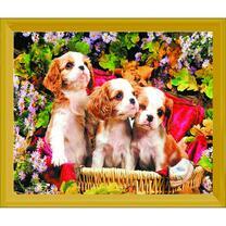 Три щеночка пекинеса в цветах