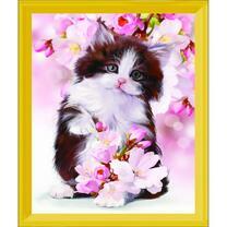 Пушистый черно-белый котенок и цветы сакуры