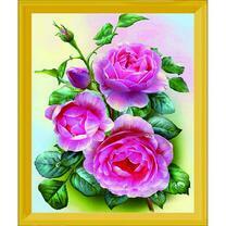 Розы на кустике крупным планом