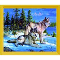 Пара волков ранним утром на снегу