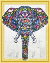 Индийский слон и яркие цветы