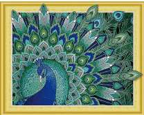 Яркий павлин