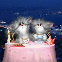 Парочка влюбленных котят за чаем