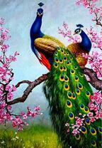 Два замечательных павлина на цветущей ветке