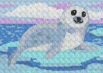 Белый тюлень на льдине