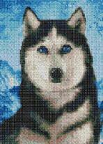 Голубоглазый хаски на фоне снегов