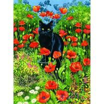 Черная кошечка среди красных маков