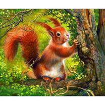 Рыженькая белочка у дерева