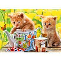 Рыжие котята и чайный сервис