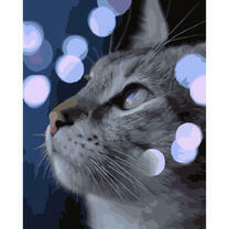 Кршечка и ночные огни города