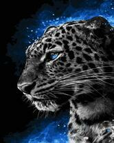 Холодное сияние вокруг барса