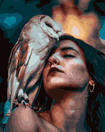 Картина по номерам 40x50 Девушка и ее белая сова