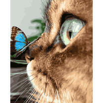 Голубая бабочка на носике котенка