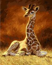 Отдых маленького жирафа