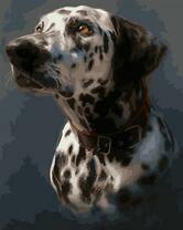Собака Далматинец