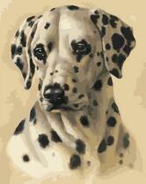 Задумчивый далматинец