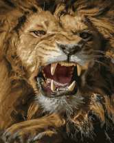 Разъяренный лев