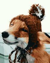 Хитрый лис в шапке