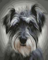 Забавный шнауцер