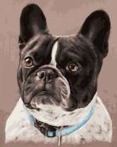 Забавный бульдог