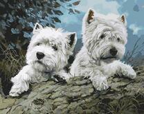 Милые щенки джек рассел