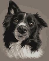 Весёлый черно-белый пёс