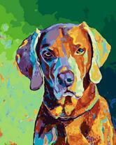 Венгерская выжла