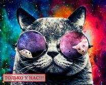 Кот в космических очках с отражением кота