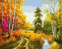 Красота осенней природы в лесу