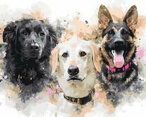 Три пса разной породы