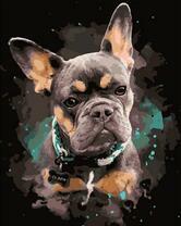 Пес породы французский бульдог